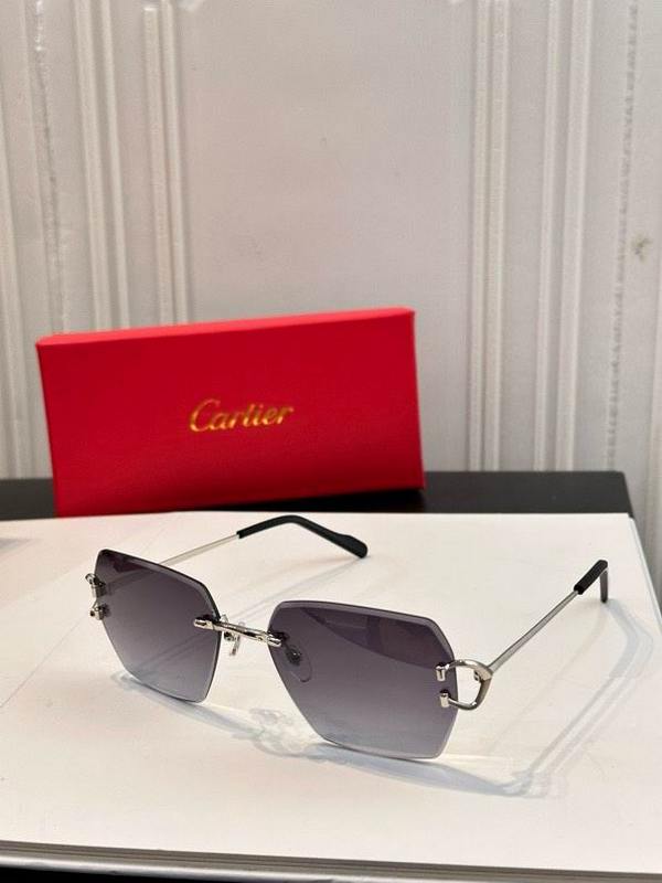 Cartier Sunglasses 1017